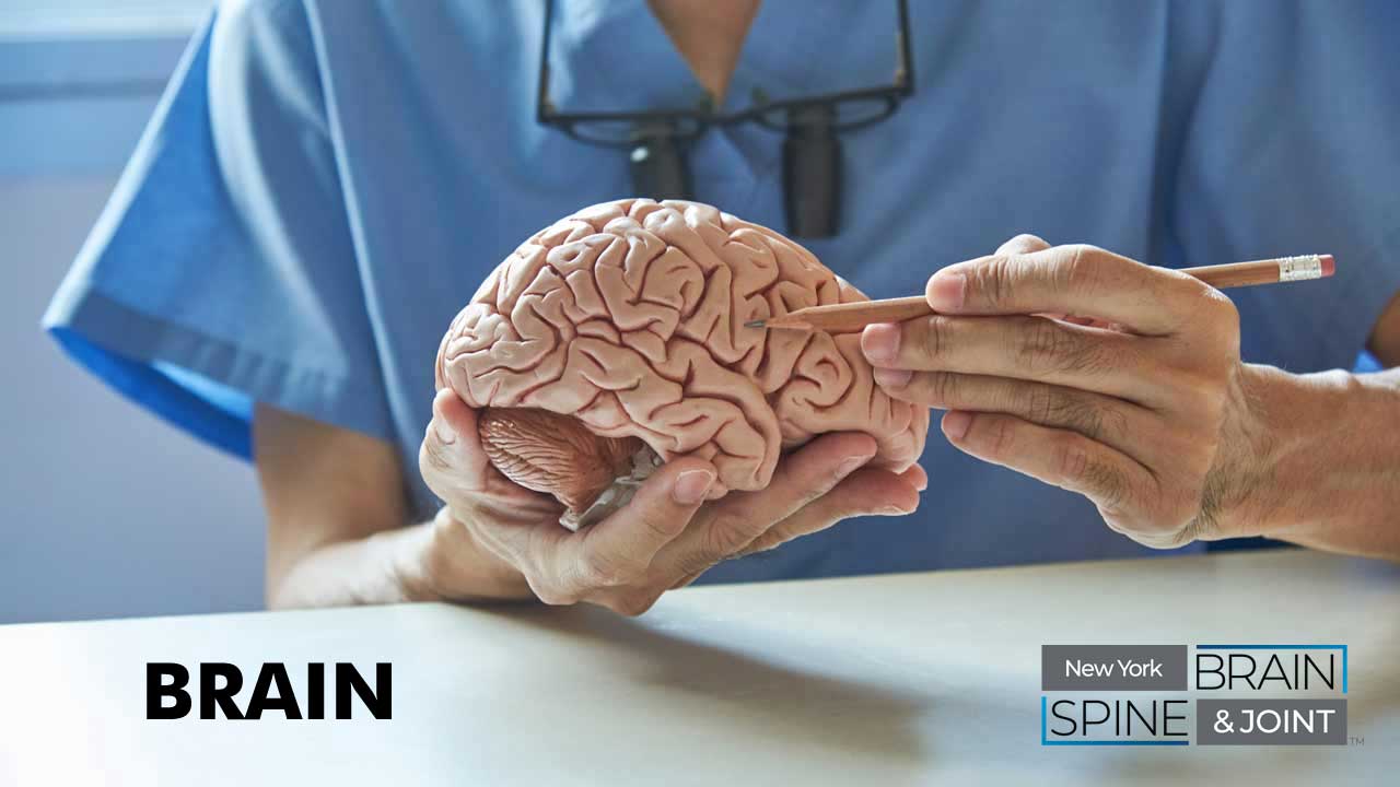 BrainConditionsNYBSJ.jpg